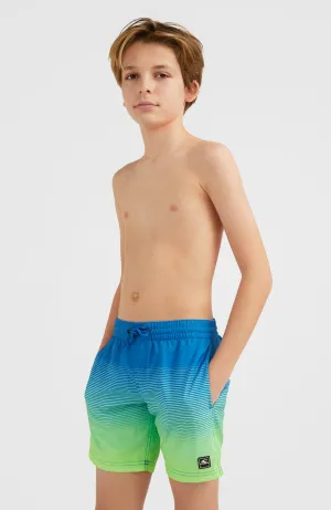 Cali Gradient 14'' Badehose | Dark Blue Simple Gradient