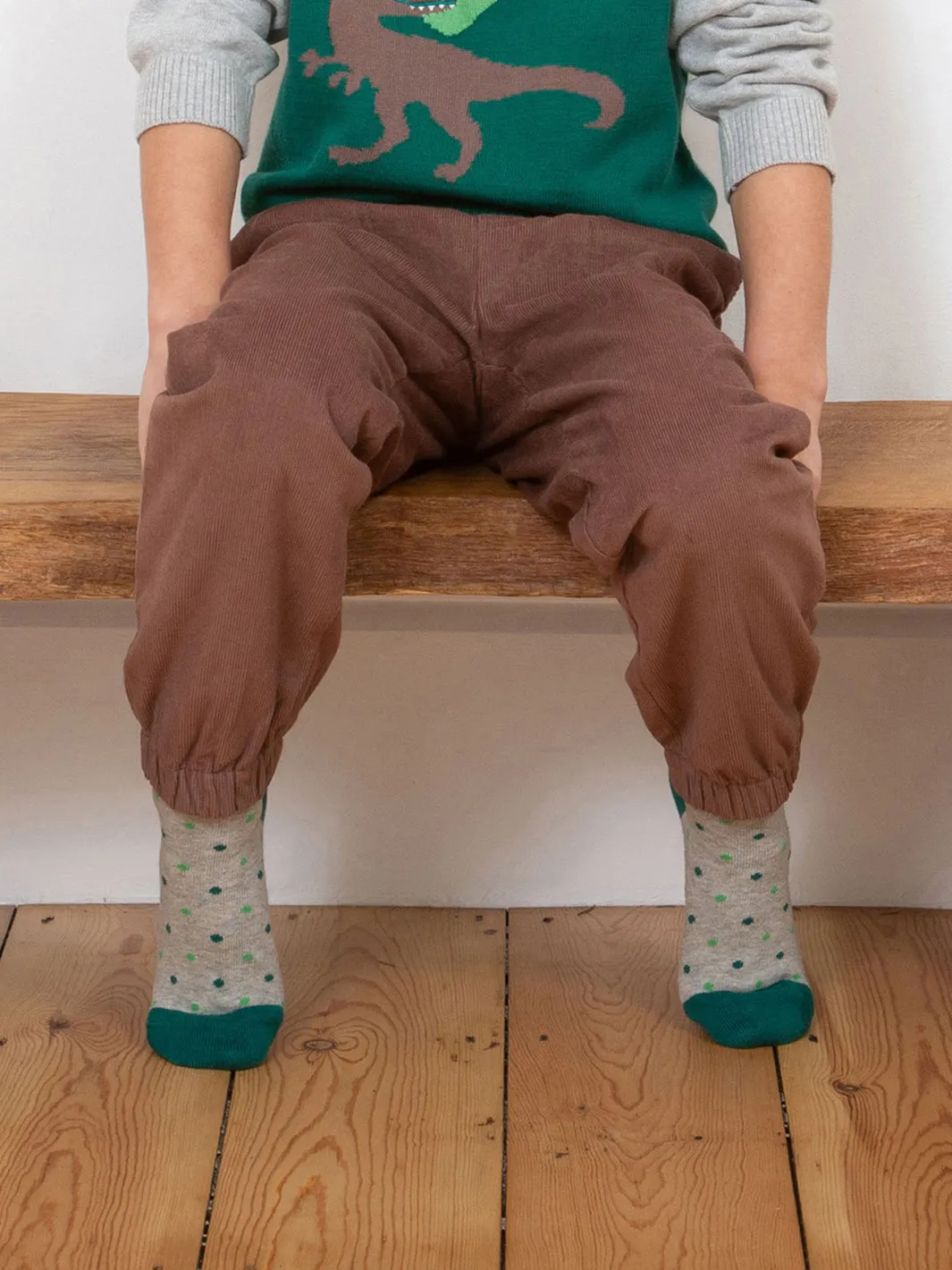 Dino socks