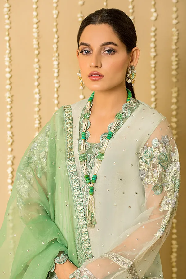 Embroidered Organza Pakistani Salwar Kameez and Dupatta