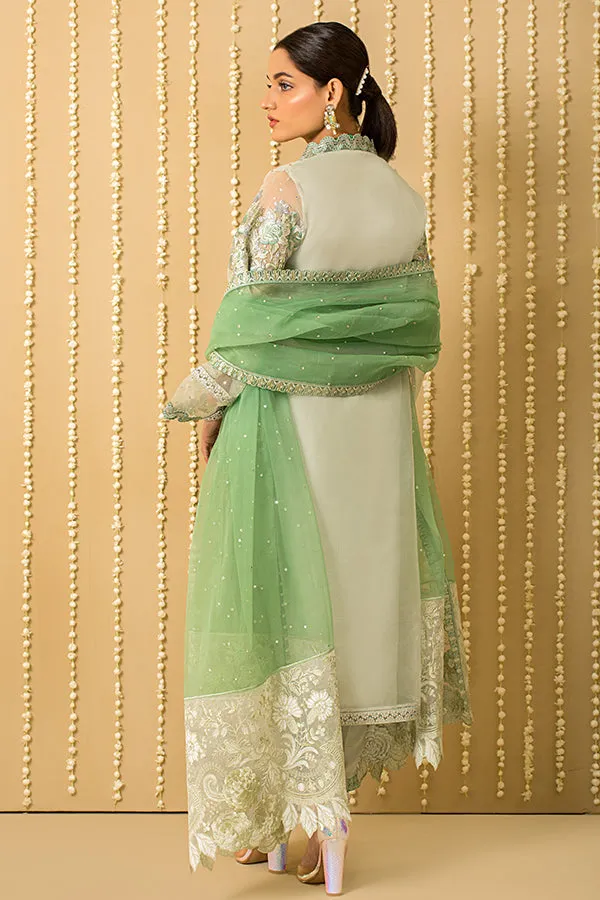 Embroidered Organza Pakistani Salwar Kameez and Dupatta