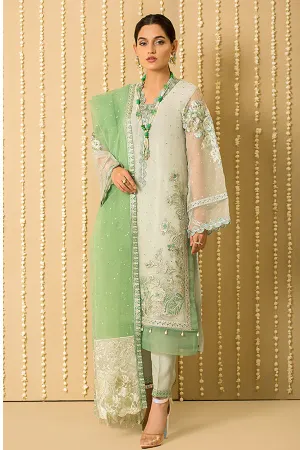 Embroidered Organza Pakistani Salwar Kameez and Dupatta