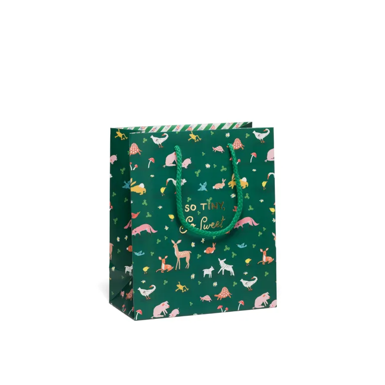 Gift Bag