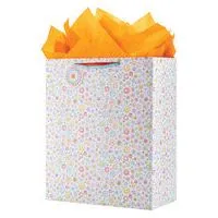 Gift Bag