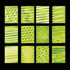 Hard Copy –  12 Shots of Nature – New LP