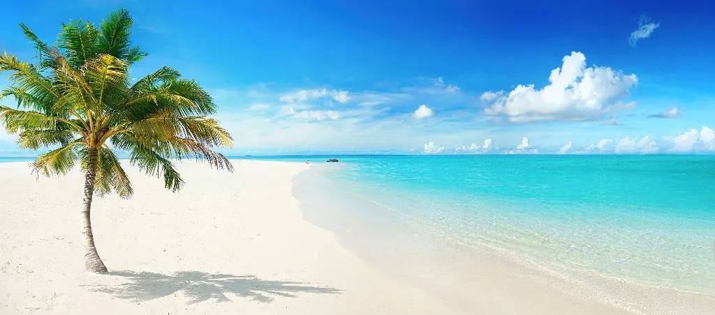 Island in the Sun Wallpaper Mural
