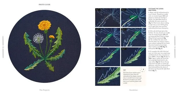 Paint with Thread : A Step-by-Step Guide to Embroider Through the Seasons