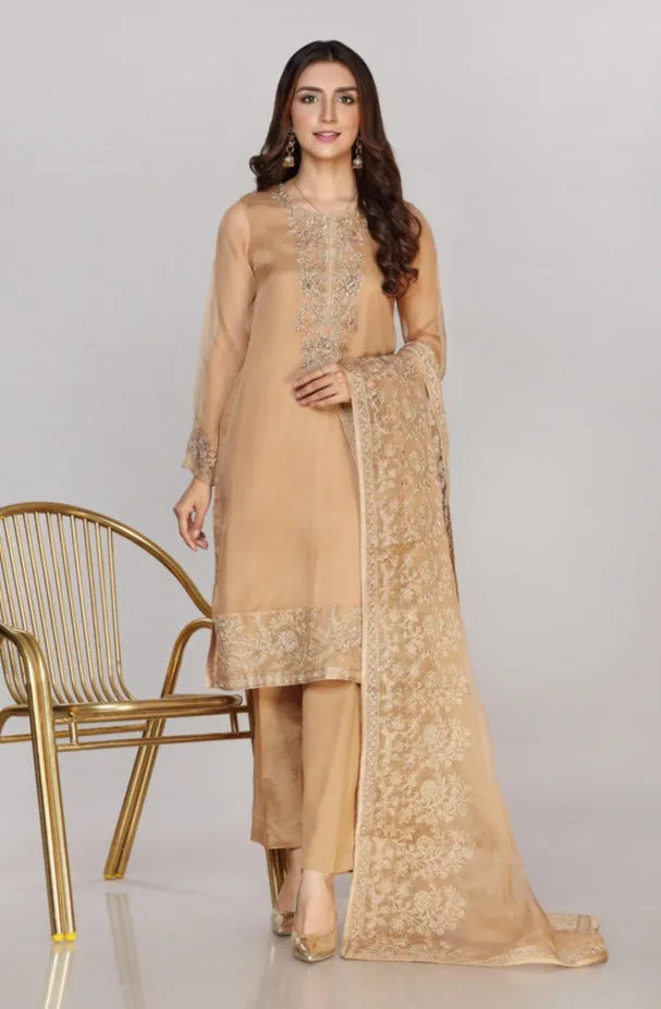 Pakistani Party Dress in Organza Kameez Trouser Style