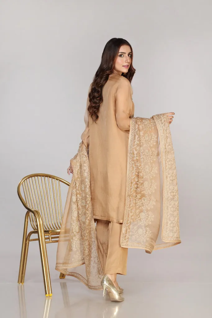 Pakistani Party Dress in Organza Kameez Trouser Style