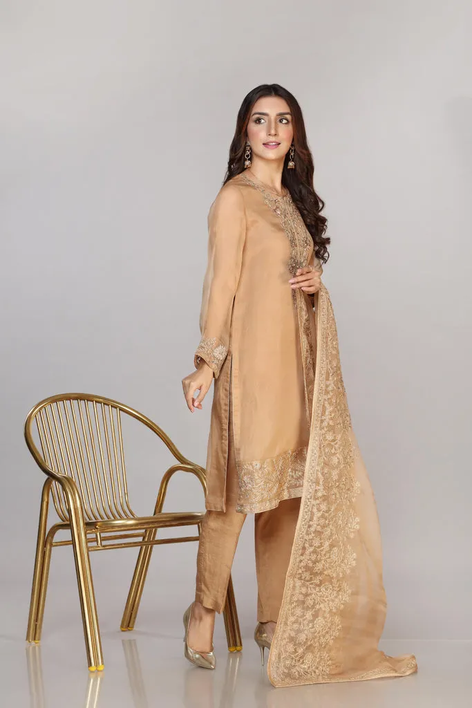 Pakistani Party Dress in Organza Kameez Trouser Style