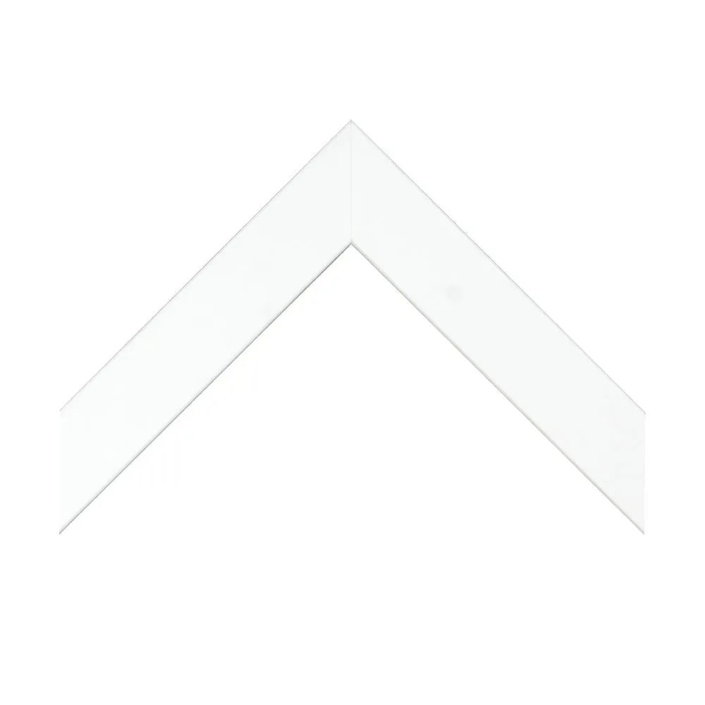 Palm 11