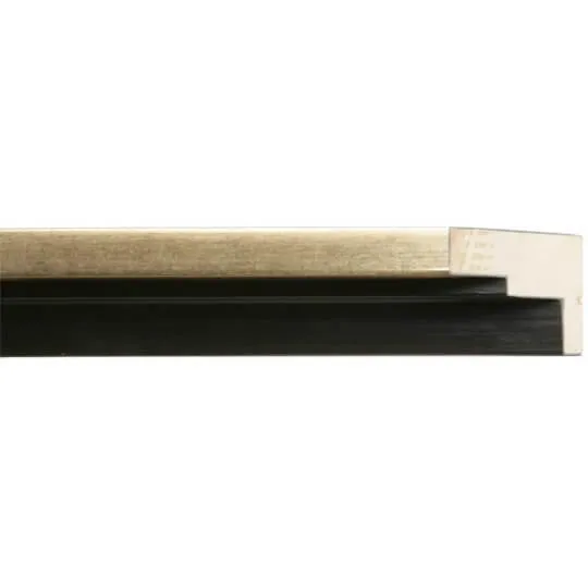 Palm 11