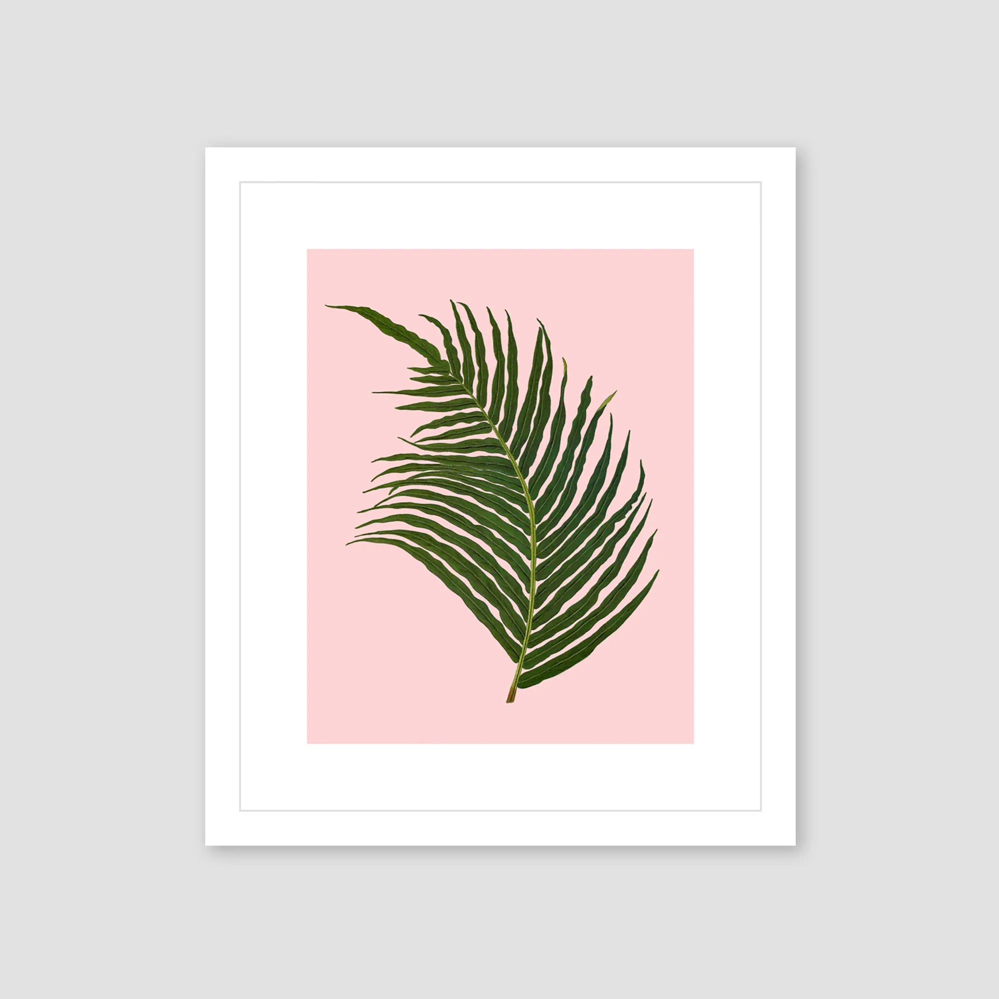 Palm tree leaf framed art, tropical art, wall art, palm tree leaf print, tropical giclee wall decor, wall hanging, Interior design, coastal
