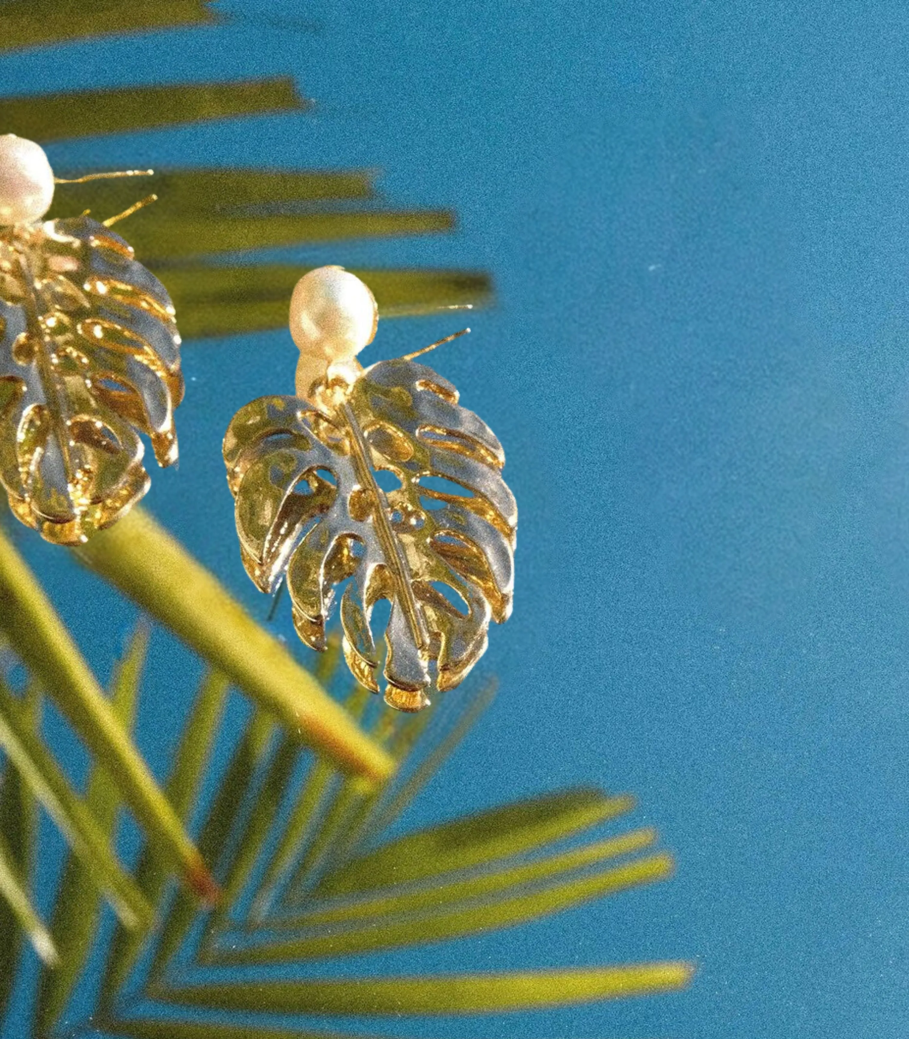 Palmera Pearl Earrings