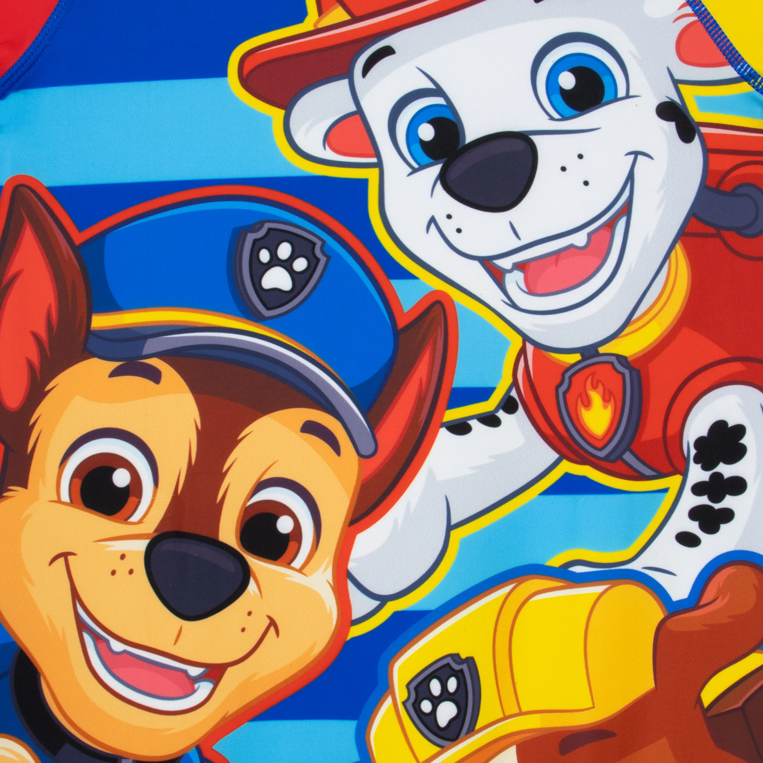 PAW Patrol Swimsuit – Cool Patrol