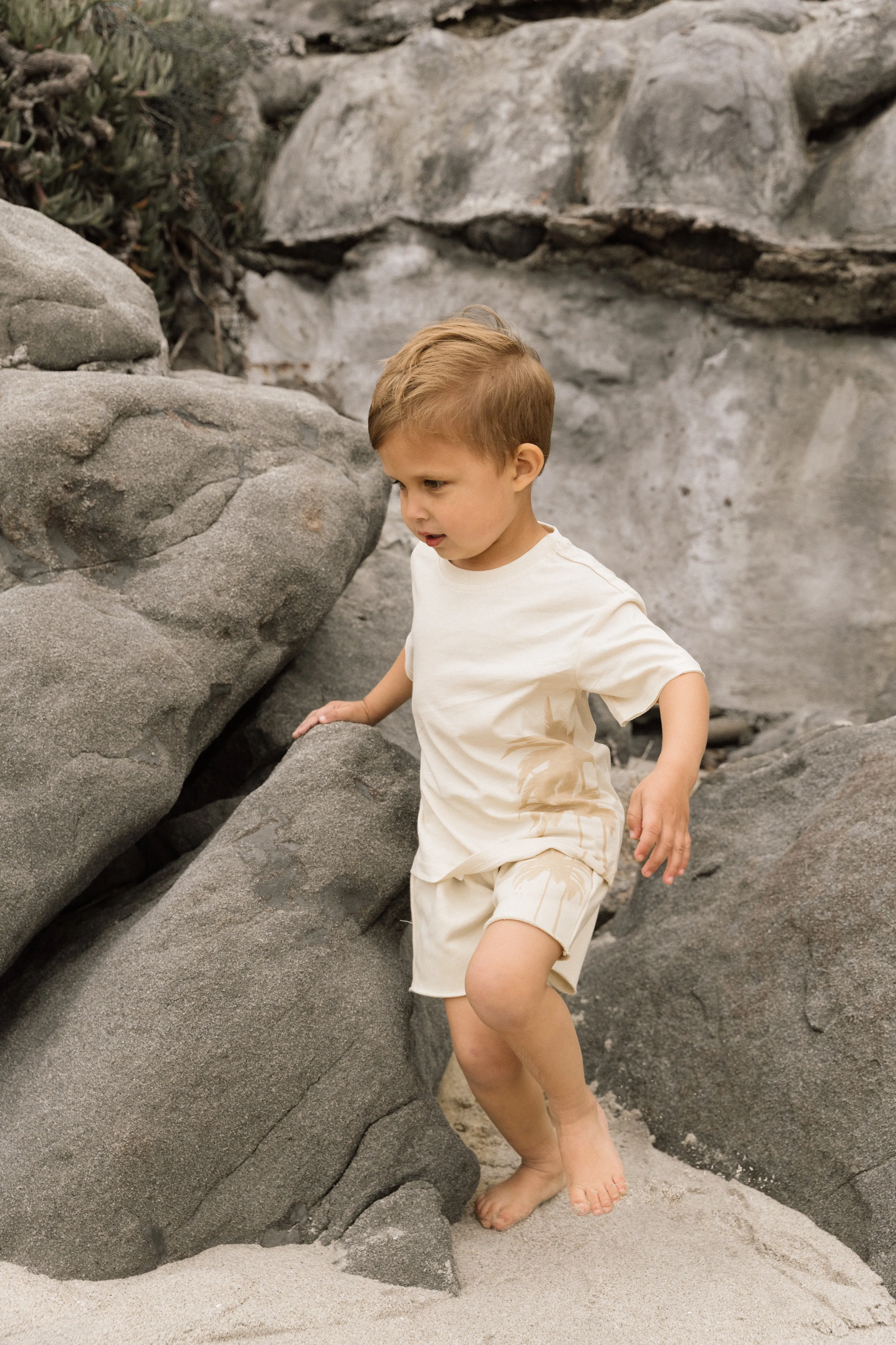 Resort Palm Sweatshort - Cream