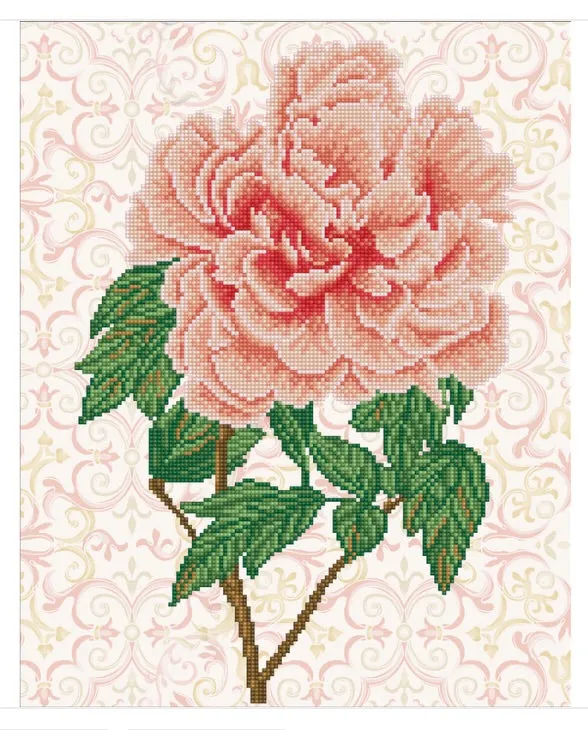Rose Blush