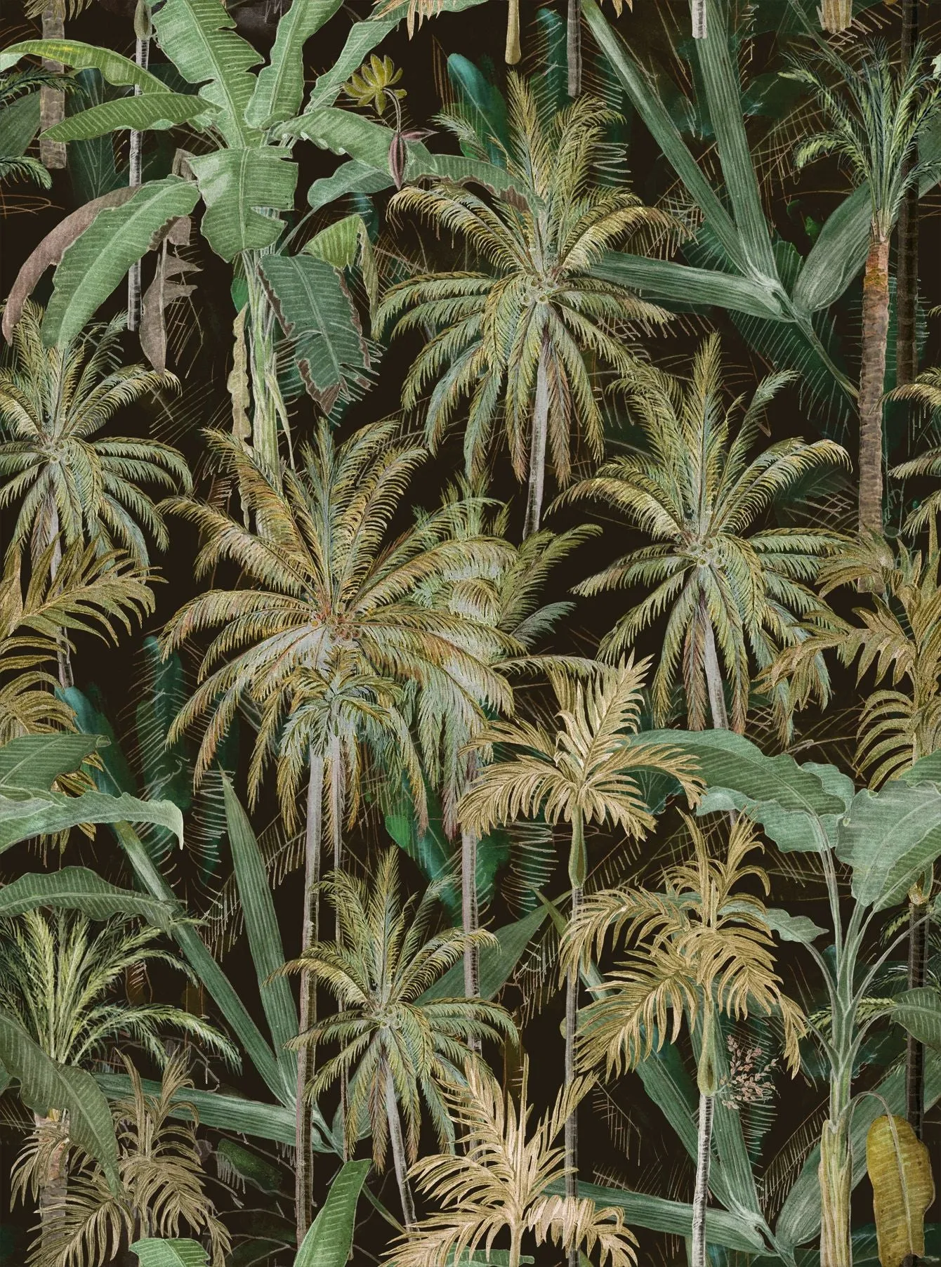 THE JUNGLE Anthracite Wallpaper