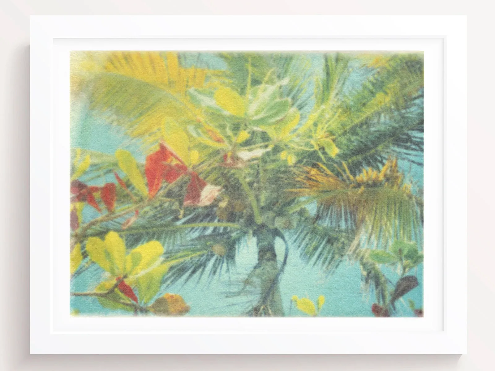 The Tropical Blue Wind