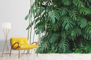 Tropical Jungle Leaves Wallpaper Mural
